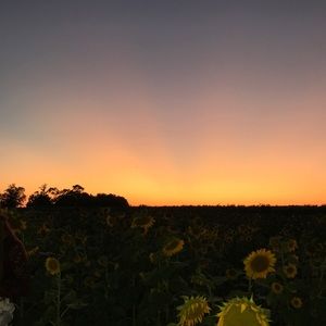 Meet your Posher, Abby-kate